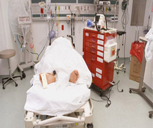   مصر اليوم - نقل 10 أشخاص للمستشفى بعد تناول كعكة محشوة بالحشيش بإسبانيا